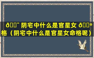 🐯 阴宅中什么是官星女 🌺 命格（阴宅中什么是官星女命格呢）
